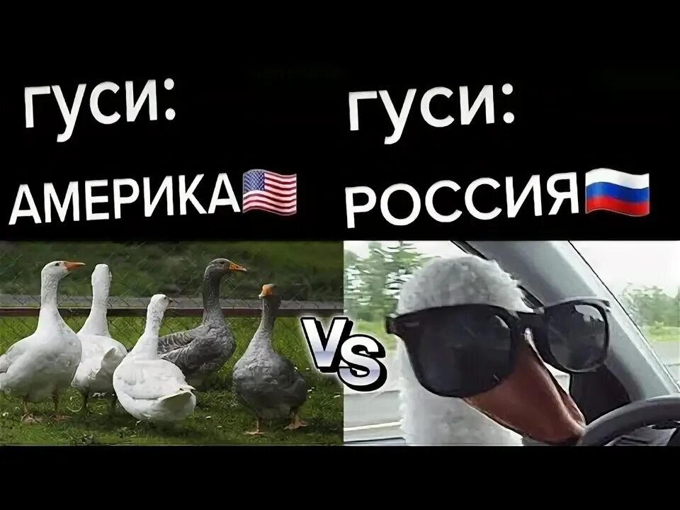 Смешная америка видео. Смешная америка видео