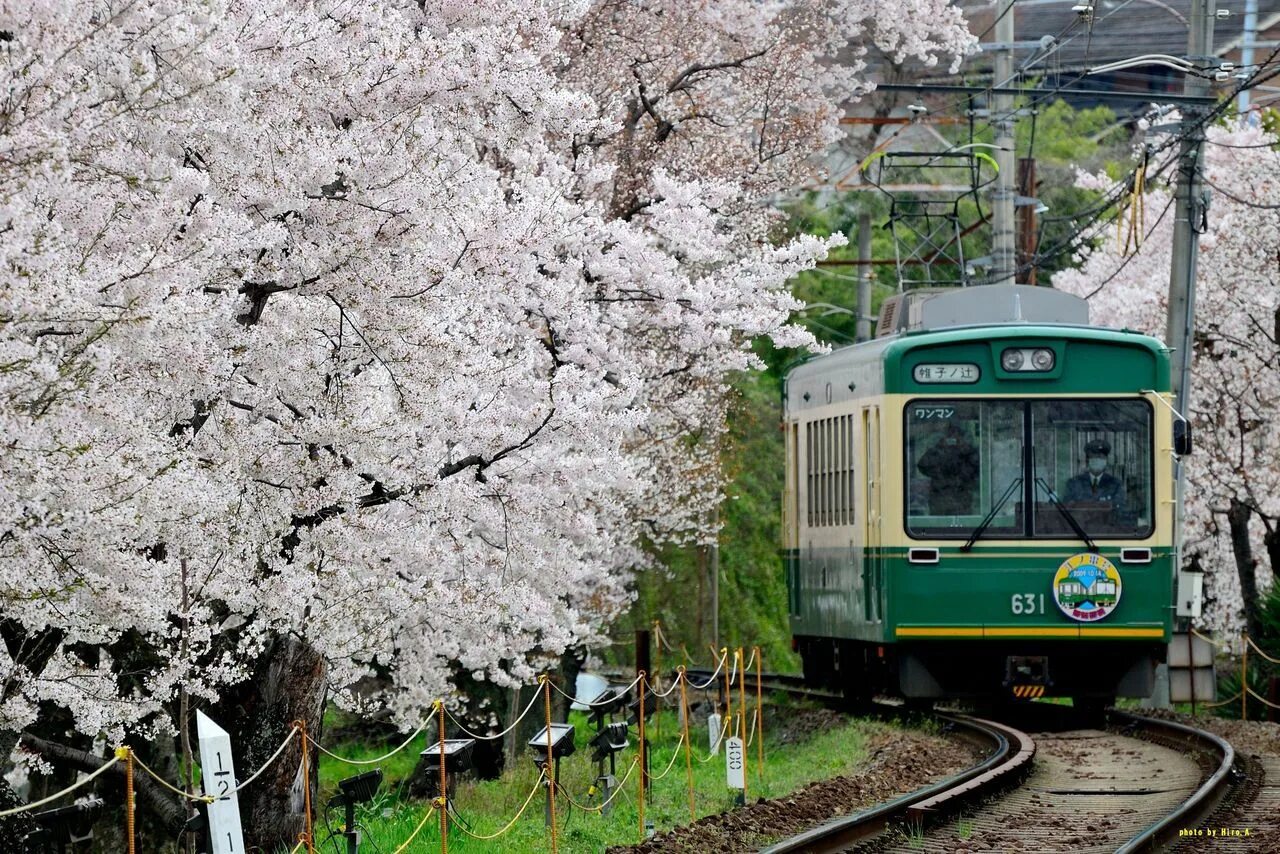 Железные дороги японии. Япония поезд Сакура. Железная дорога в Японии. Поезда в Японии. Японские электрички.