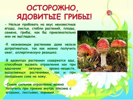 Лето красное безопасное