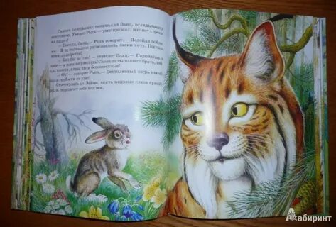 Сказочное поэтическое описание тигра