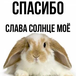 Имена на слав