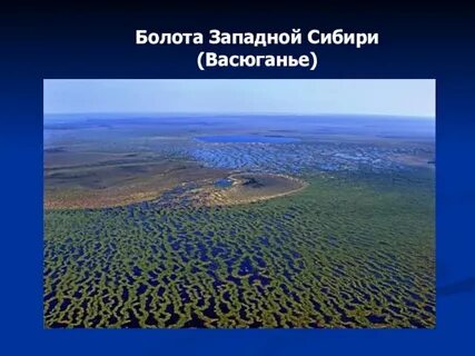 Западно сибирская равнина сильно заболочена