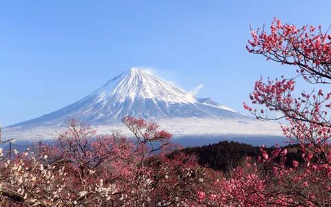 Mt Fuji Wallpaper.