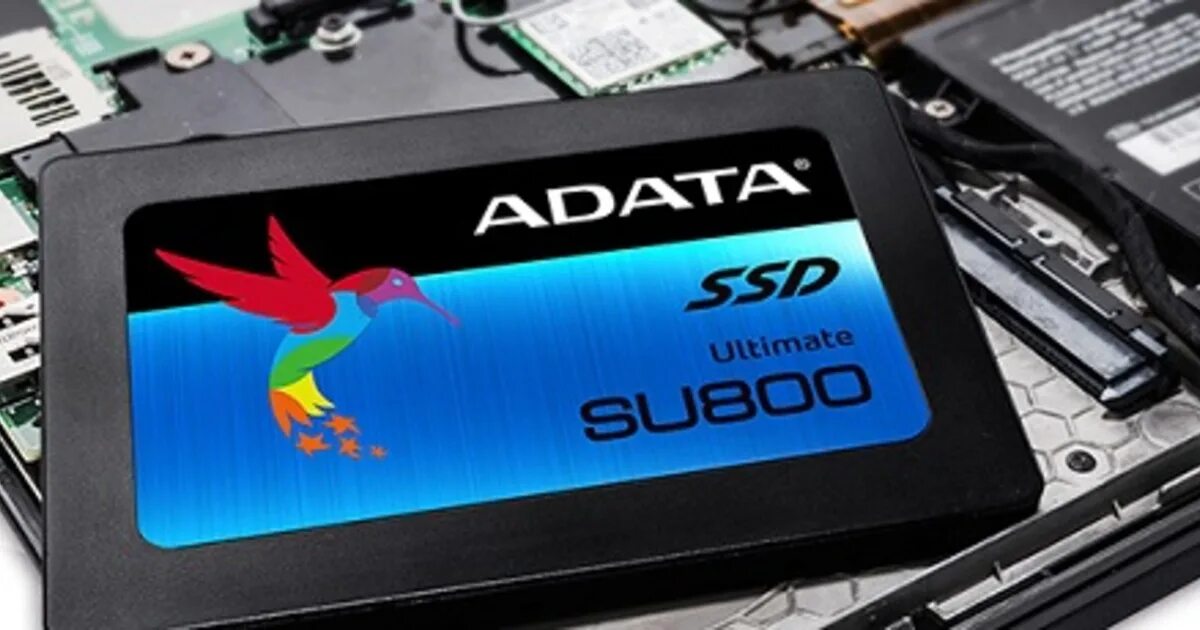 SSD-накопитель твердотельный 256гб. Ссд диск АДАТА су800. Ссд 512 АДАТА. Внутренний SSD накопитель ADATA 1tb.