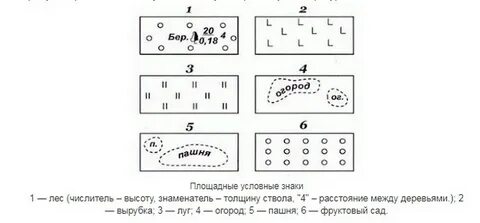 Условные знаки 5000