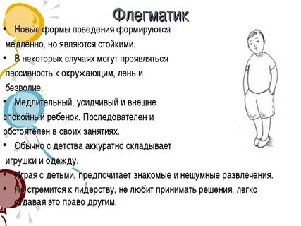 Флегматик это
