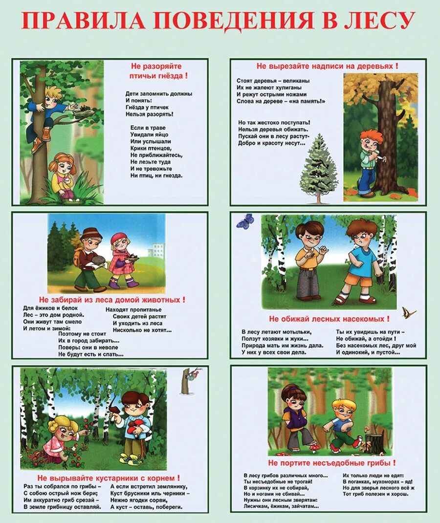 Безопасность ребенка на природе. Памятка правила поведения в лесу. Правила поведения в лесу и на природе. Правила безопасного поведения в лесу для дошкольников. Правила поведения в Дему.