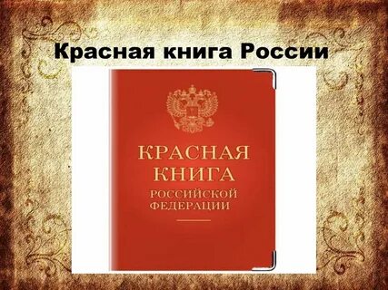 Красная книга жизни