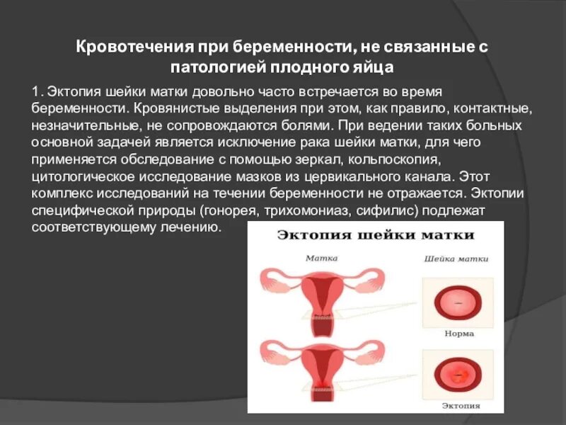 Кровотечение во время беременности. Кровотечения не связанные с патологией плодного яйца. Почему после акта кровит