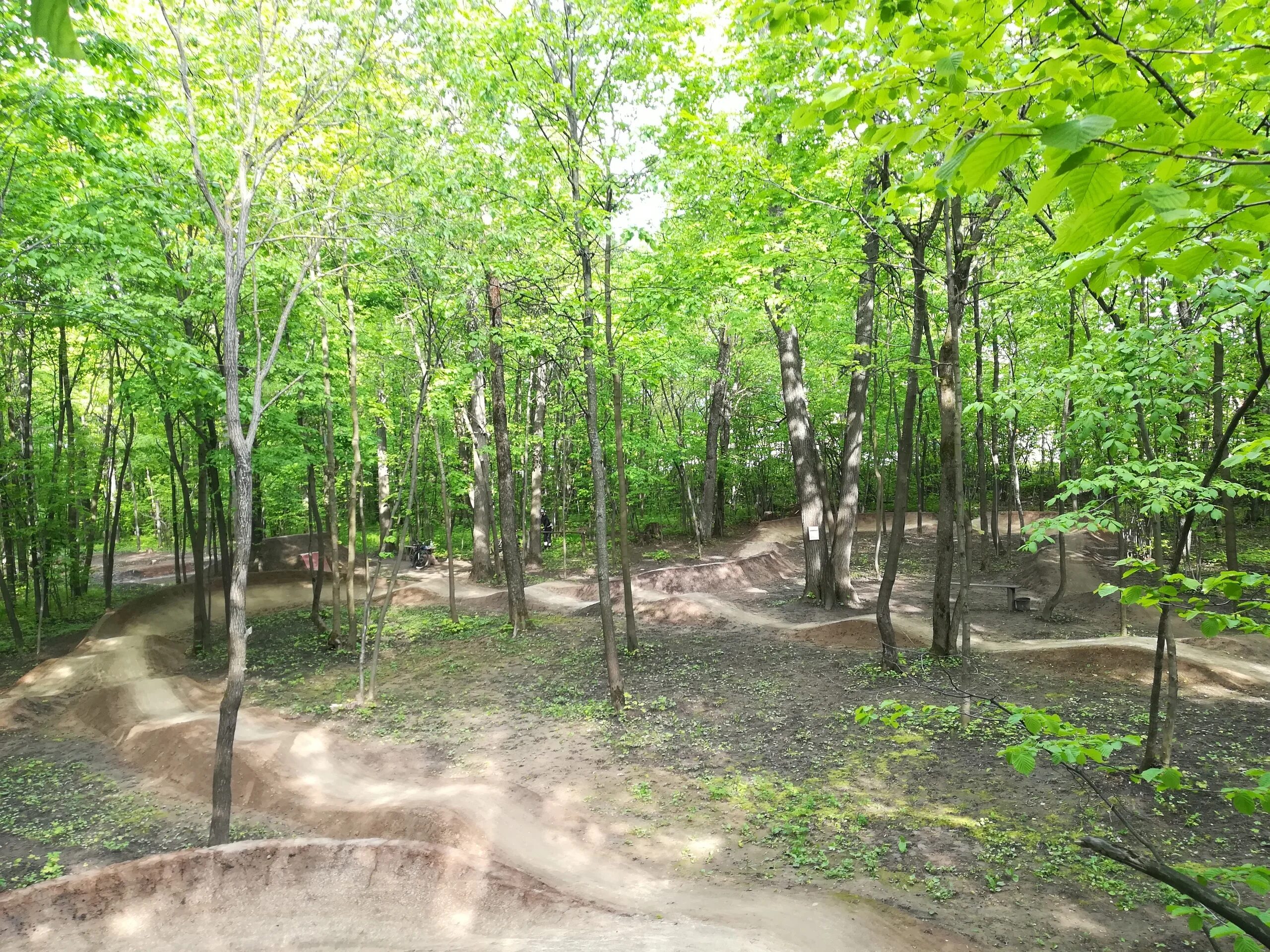 Форест парк чебоксары беседки. Форест парк липецк. Форест парк турбаза чебоксары. Лакреевский парк чебоксары. Чебоксары ыорнст форест парк.