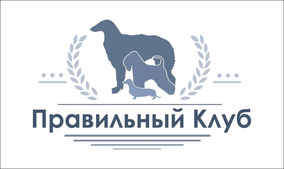 Правильный логотип. Правильный клуб для собак ярославль. логотип клуба собаководов. кинологический центр ярославль. питомник животных печать.