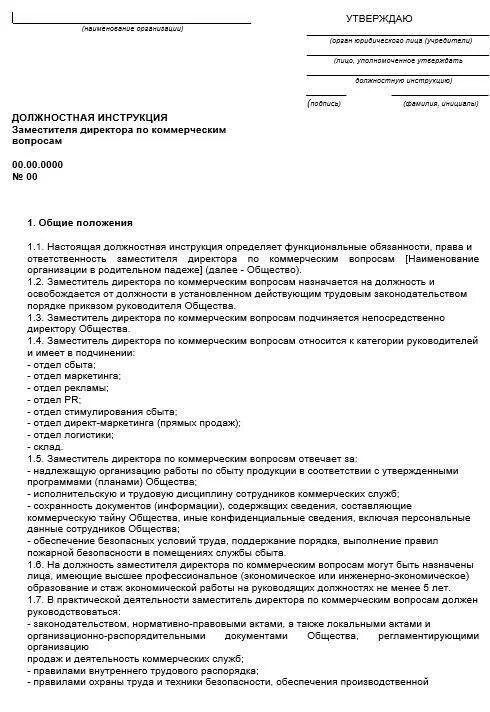 Заявление на должностные обязанности. Должностная инструкция заместителя директора образец. Должностная инструкция помощника руководителя образец. Должностная инструкция заместителя директора по безопасности. Должностная инструкция для зам директора предприятия образец.