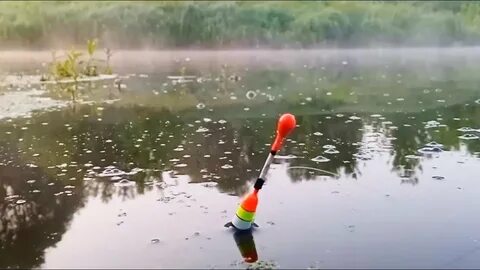 Ловля летом на поплавочную удочку видео