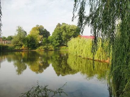 Видное пруд