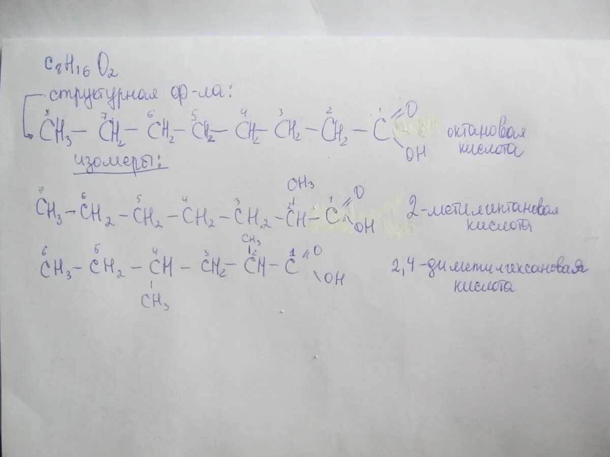 C8h16 структурная формула изомеров. Изомерия c8h16. C8h16o2 структурная формула. C7h16 8 изомеров.