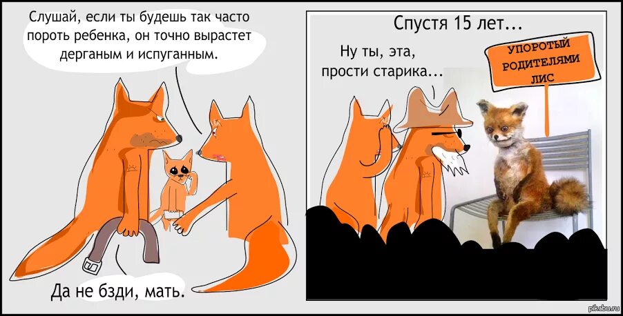 Шутки про лисичек. Приколы про лису. Шутки про лису. Лиса прикол. Часто мне приходилось наблюдать за выводком лисят