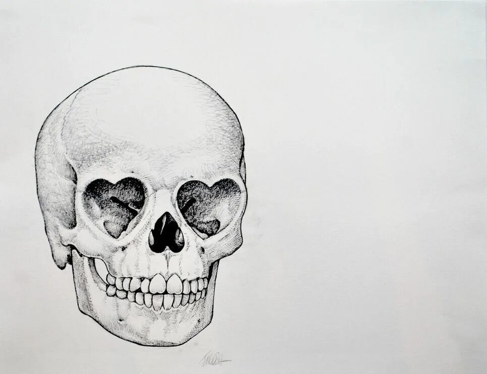 Skeleton face