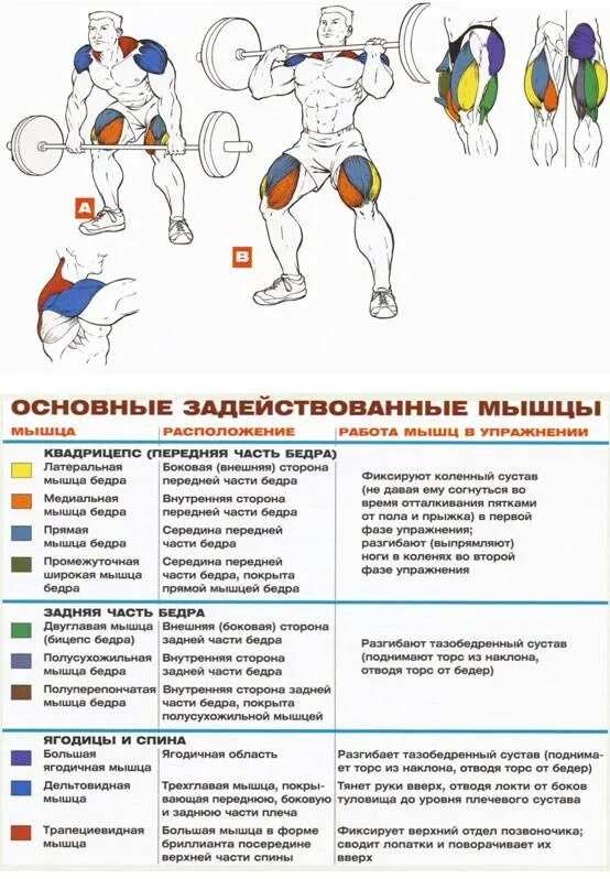 Программа со штангой. Тренировка на грудь со штангой план. рывок штанги какие мышцы. схема упражнений на определенные группы мышц. упражнения и задействованные мышцы.