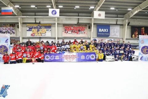 Золотая шайба нижегородская
