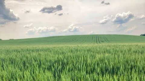 Персональную информацию в поле