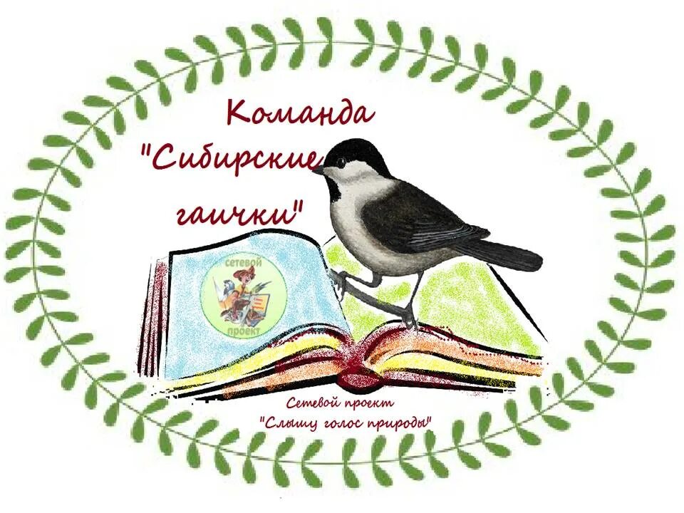 Девиз птиц. Эмблема для команды. Эмблема отряда. Девиз для команды птиц. Название команды про птиц.