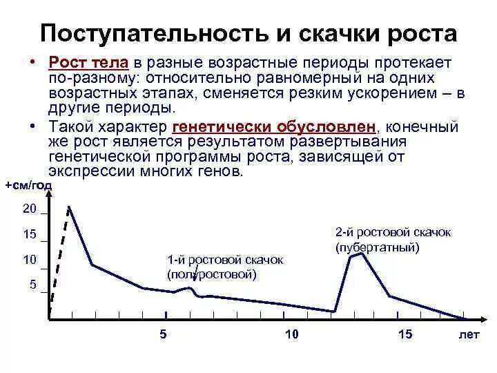 Скачок роста 7 лет. Скачок роста. скачки роста у детей. скачок роста у подростков мальчиков. период активного роста у девочек.