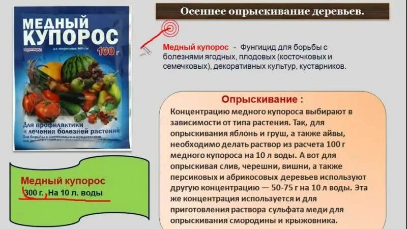 Разведения медного купороса для опрыскивания деревьев. Обработка деревьев медным купоросом (опрыскивание). Медный купорос для обработки деревьев. Медный купорос для обработки деревьев дозировка. Обработка железным и медным купоросом