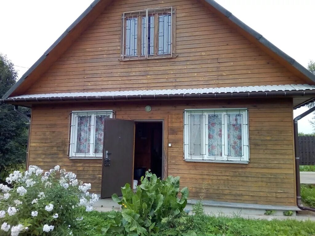 слапи лужского. слапи лужского. слапи улица солнечная лужский район. слапи лужский район лес. деревня слапи лужский район.