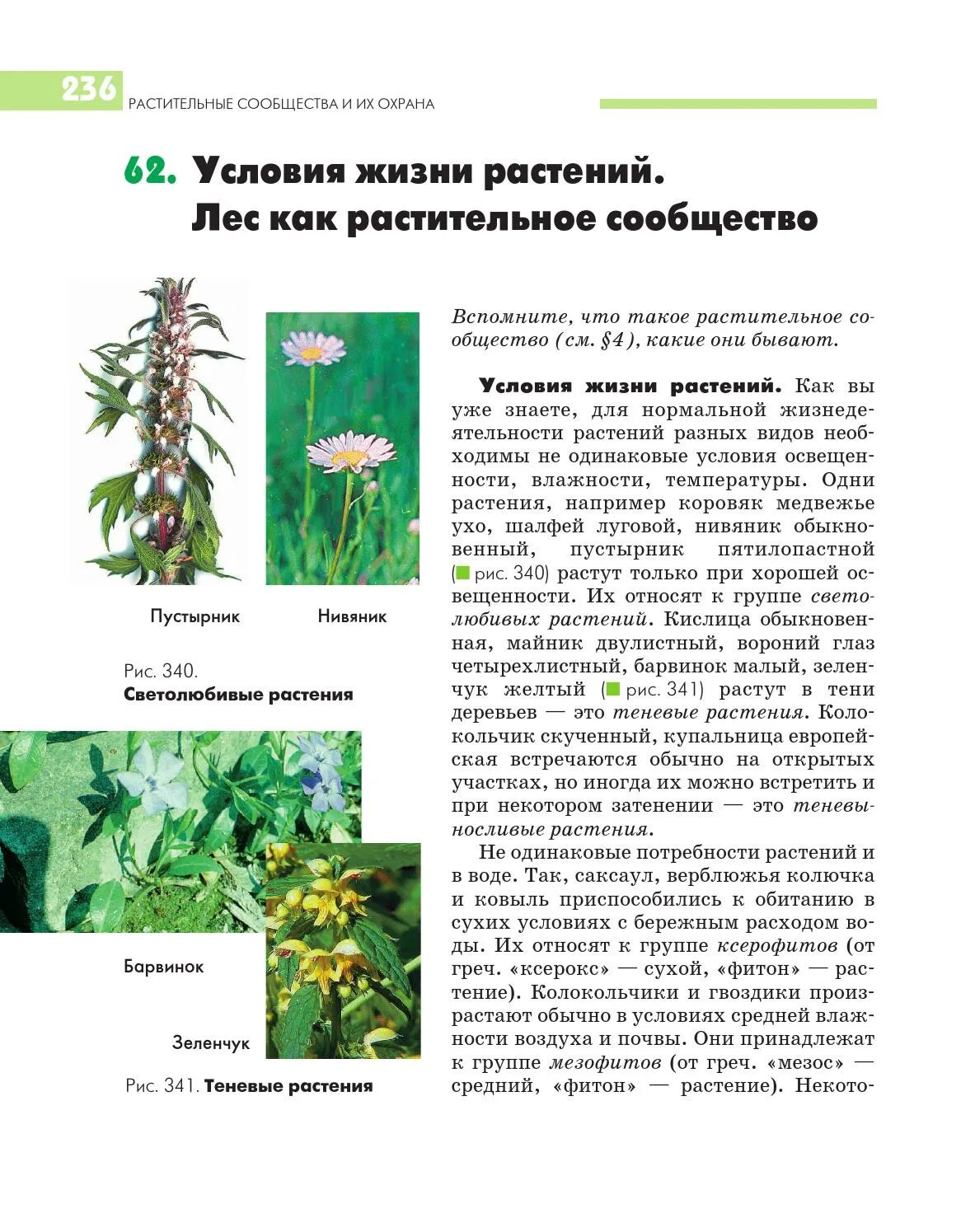 Краткий пересказ растительные сообщества. Растительные сообщества. Растительные сообщества условия растения. Кислица растительное сообщество. Общий вид растительных сообществ.