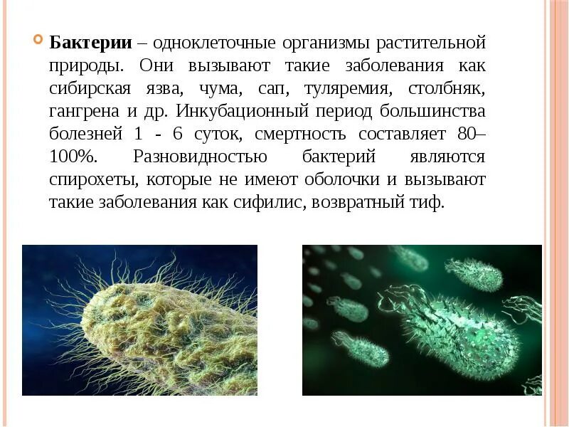 Микроорганизмы способны синтезировать