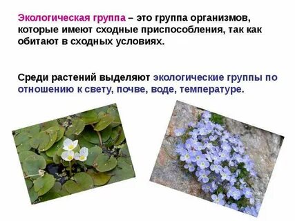 Приспособления по отношению