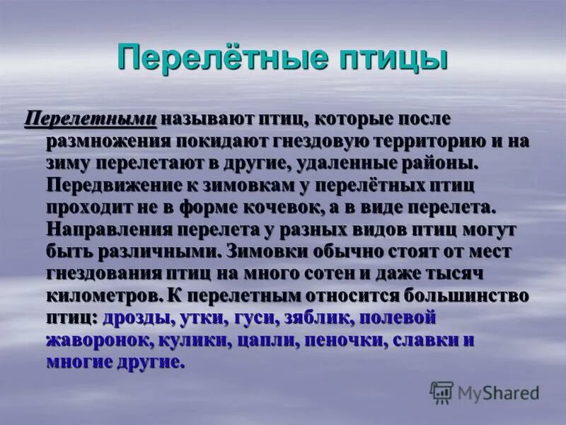 Почему птицы называются перелетными. Почему птиц называют перелетными для детей. Почему птицы перелетные. Перелетные птицы почему так называются.