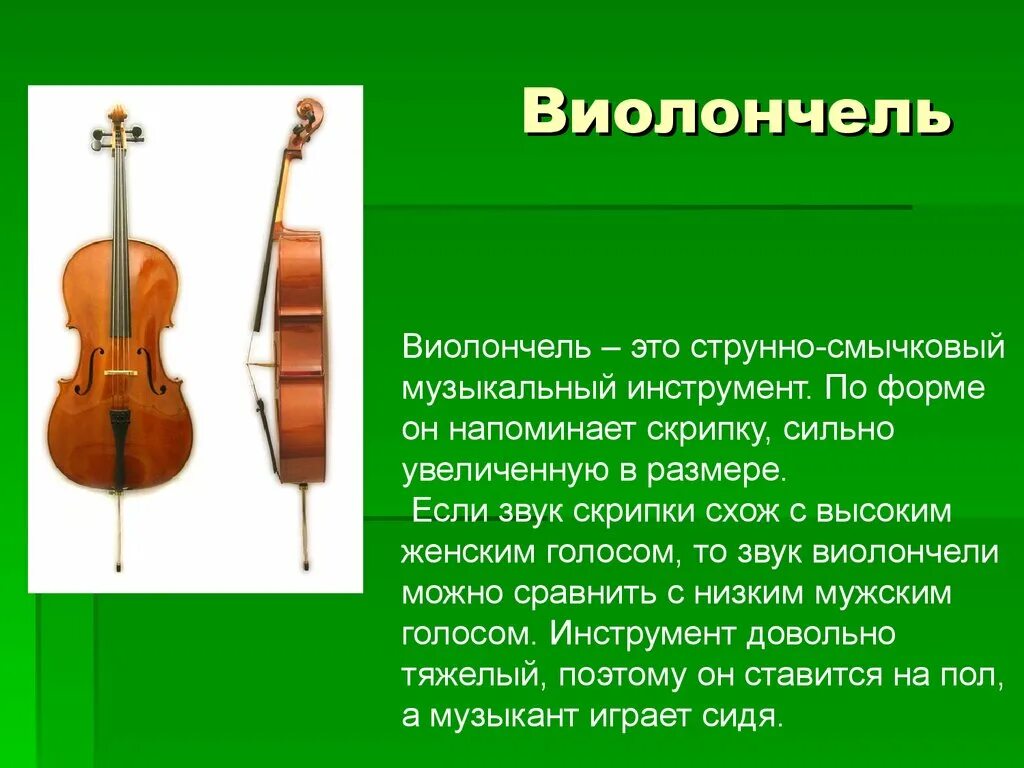 Музыка 4 класс скрипка. Струнные смычковые и Щипковые инструменты. Смычковые инструменты симфонического оркестра. Струнно-смычковые инструменты симфонического. Виолончель струнные смычковые музыкальные инструменты кратко.