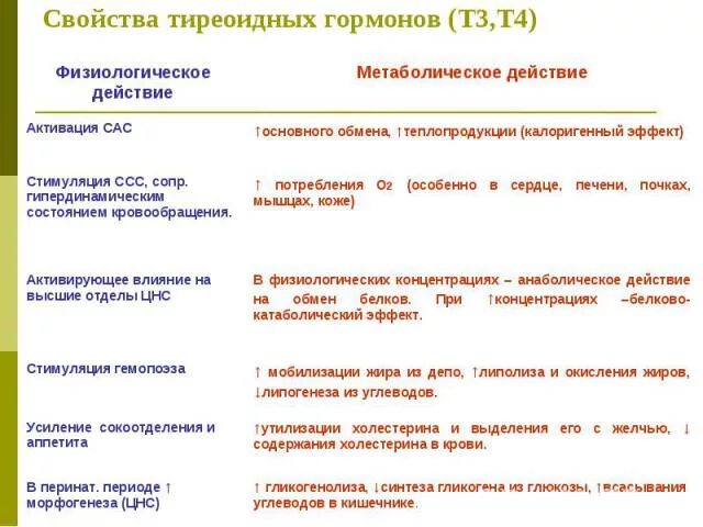 Т3 и т4 гормоны щитовидной железы. Т4 функции гормона. Т3 и т4 гормоны функции. Роль гормонов т3 и т4.