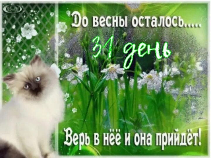 До весны осталось. Открытки до весны осталось 28 дней. До весны осталось. До весны осталось. До весны 11 дней.