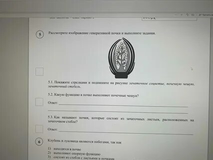 Впр биология 7 класс 2024 концентрическая