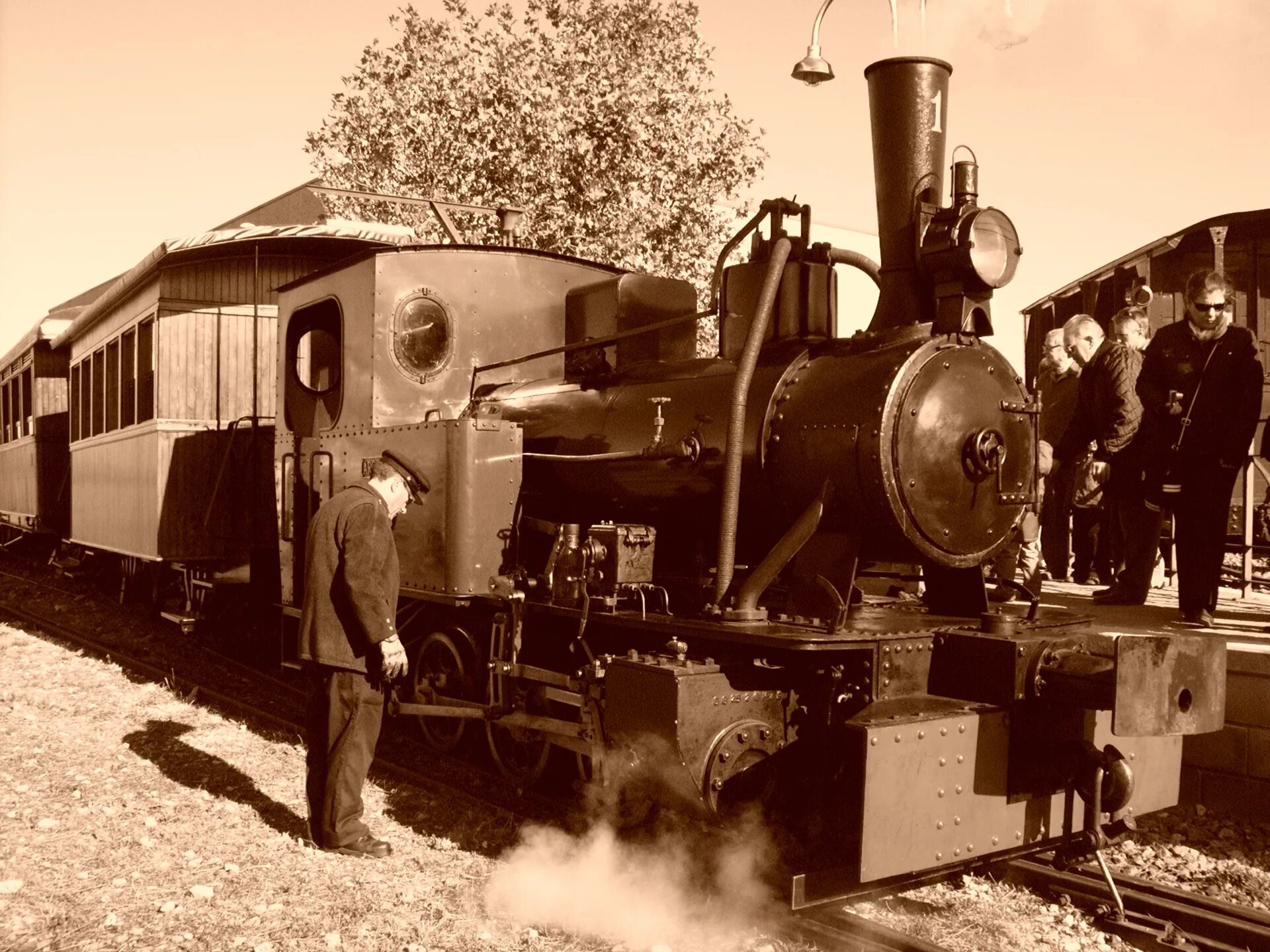 The first public railway was