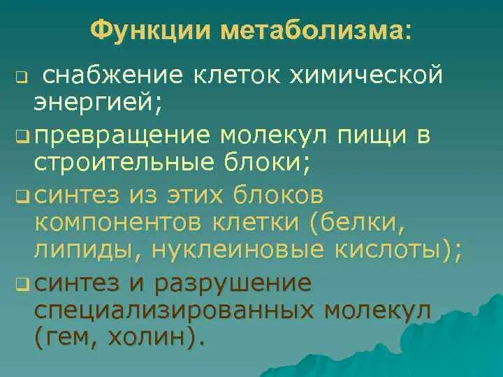 Основные функции обмена веществ. Функции обмена веществ. Функции метаболизма.