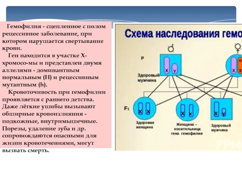 Рецессивный ген характеристика