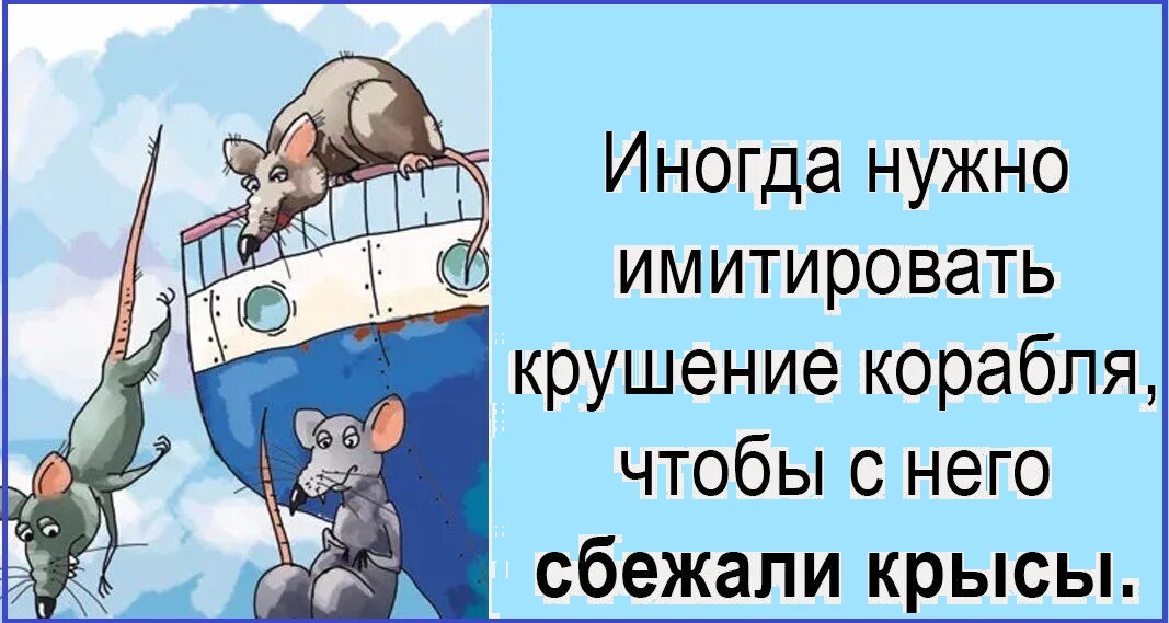 Иногда чтобы крысы сбежали. Крысы бегут с корабля. Крысы с тонущего корабля. Бегут как крысы с тонущего корабля. Крысы бегут с тонущего корабля пословица.