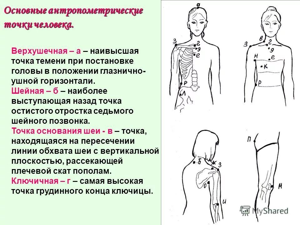 меридиан желудка топография акупунктурных точек. как включить точку доступа на айфоне 11.