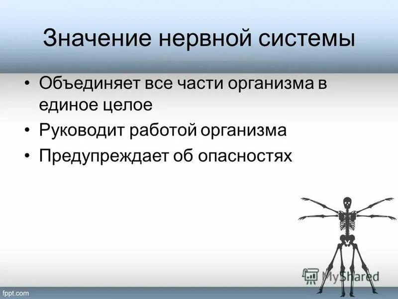 Значение нервнойиситеиы. Значение нервной системы для организма. Значение нервной системы. Значение нервной системы. Знаен енервной системы.