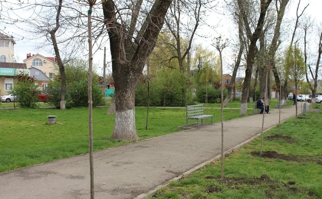 Сквер. Сквер кирова. Заложить сквер. Заложить сквер. Заложить сквер.