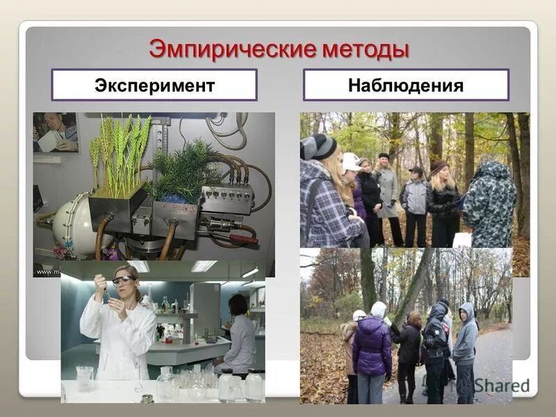 Эксперимент метод изучения природы эксперимент или опыт. Наблюдение и эксперимент. метод наблюдения и эксперимента. методы наблюдение эксперимент. наблюдение опыт эксперимент.