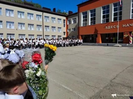 Лицей 14 сайт