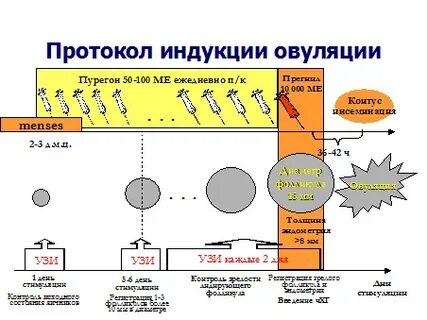 Схема стимуляции