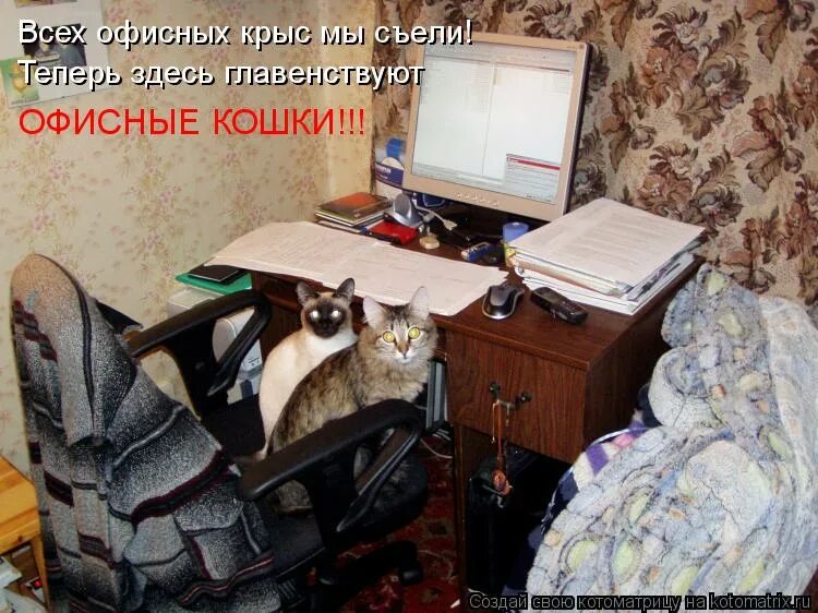 Домашний уют. Горячий чай. Согревающие объятия. Печка буржуйка в машине. Греть место.