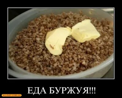 Прикол про кашу