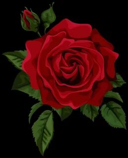 Rose art
