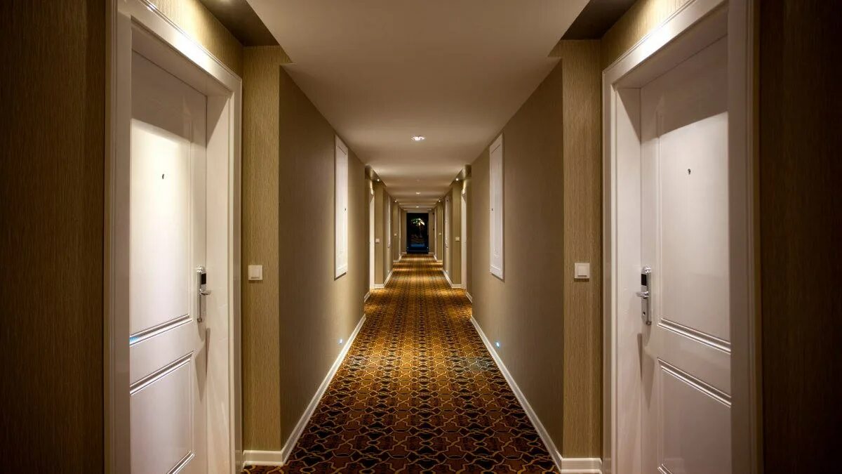 В коридор выходило несколько дверей и пока. Коридор отеля. Длинный коридор с дверьми. Длинный коридор отеля. Коридор в квартире.